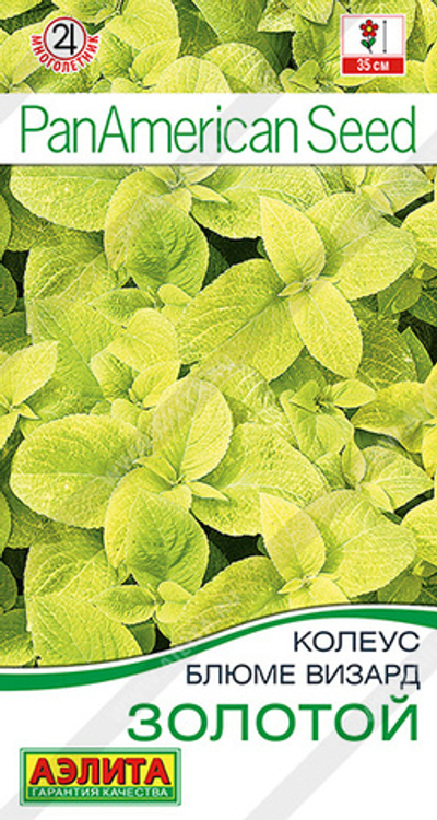 Колеус блюме Золотой 5 шт (Аэлита)