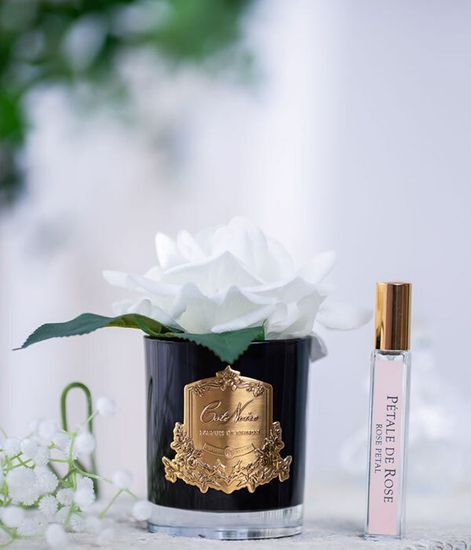 Роза цвета слоновая кость в черной вазе, Cote Noire