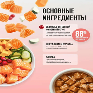 Пауч кусочки в соусе BOWL WOW для стерилизованных кошек, с лососем с овощами