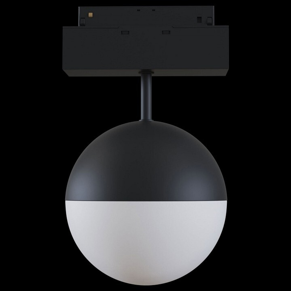 Трековый светильник Maytoni Technical TR017-2-10W3K-B
