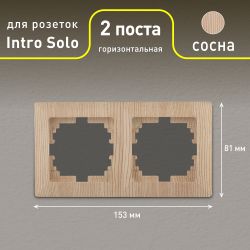 Рамка для розеток и выключателей Intro Solo 4-502-11 на 2 поста, СУ, Solo, сосна