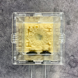 Арена для муравьев, мини формикарий с инсталляцией