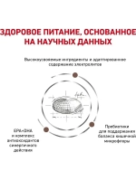 Royal Canin Gastro Intestinal Moderate calorie Сухой корм для кошек для лечения заболеваний ЖКТ при избыточном весе,350г