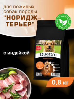 Корм сухой для пожилых собак породы Норидж-терьер старше 7 лет, с индейкой, 800 гр, QUATTRO