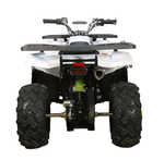 Квадроцикл AVANTIS H200 NEW (Баланс. вал)