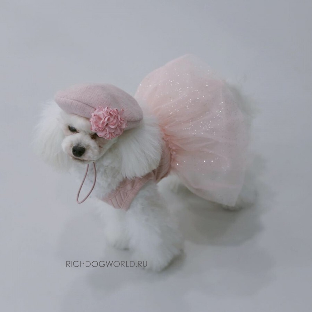 5752 BH Платье-пачка "Shine Tutu"