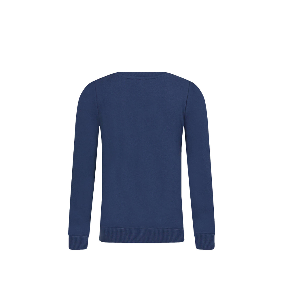 Худые POLO RALPH LAUREN - темно-синий(890236)