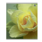 Тетрадь 12л., клетка, Alingar, скрепка, блок офсет, 100% белизна, мелованный картон (стандарт), "Цветы"