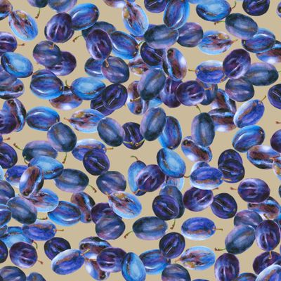 Синие сливы на бежевом фоне