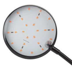 Светильник для растений на прищепке ЭРА FITO-20W-АLED-R красно-синего спектра 20 Вт черный | Интерьерные фито светильники