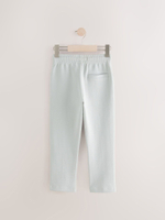 Брюки спортивные для мальчика Next E43-392, Светло-серый