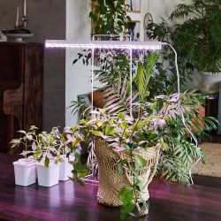 ULI-P12-10W-SPLE IP40 WHITE Светильник для растений светодиодный линейный. 560мм. выкл. на корпусе. Спектр для фотосинтеза. TM Uniel