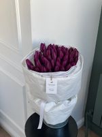 Букет из 51 фиолетового тюльпана - доступен к заказу с 3.03.2025