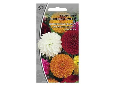ГЕОРГИНА Помпонная смесь (0,2г) Цв.пак (10шт)