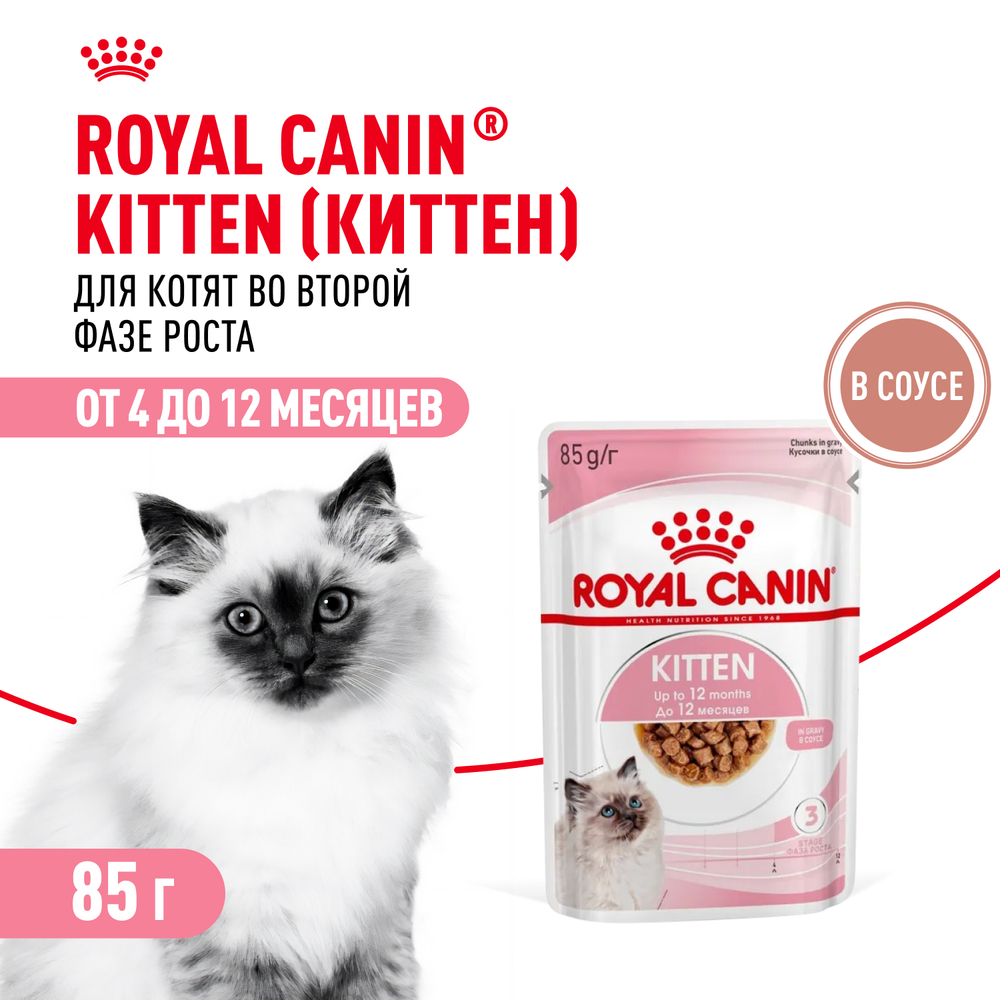 Royal Canin Kitten консервированный корм для котят в возрасте до 12 месяцев в соусе 85г
