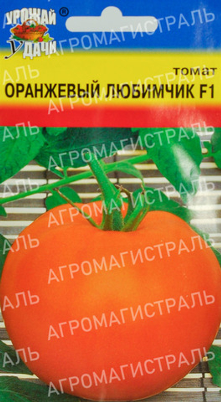 Томат Оранжевый Любимчик Урожай у дачи Ц