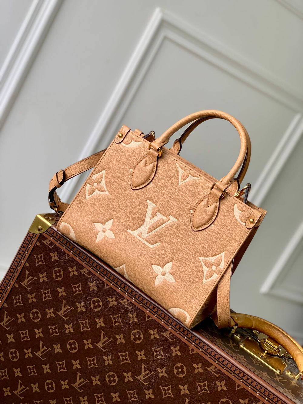 Louis Vuitton Onthego PM