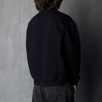  Толстовка Dickies Torrey Sweatshirt артикул:DK0A88BSBLK1 - купить в магазине Дайс