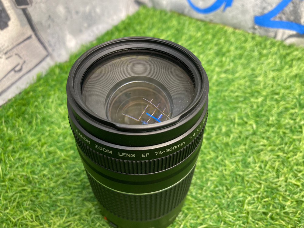 Canon EF 75-300mm 4-5.6 III