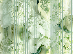 Коллекция GREENDAY 22