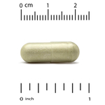 California Gold Nutrition, Digestion Pro с ProDigest®, растительная смесь экстрактов артишока и имбиря для поддержки пищеварения, 320 мг, 60 растительных капсул