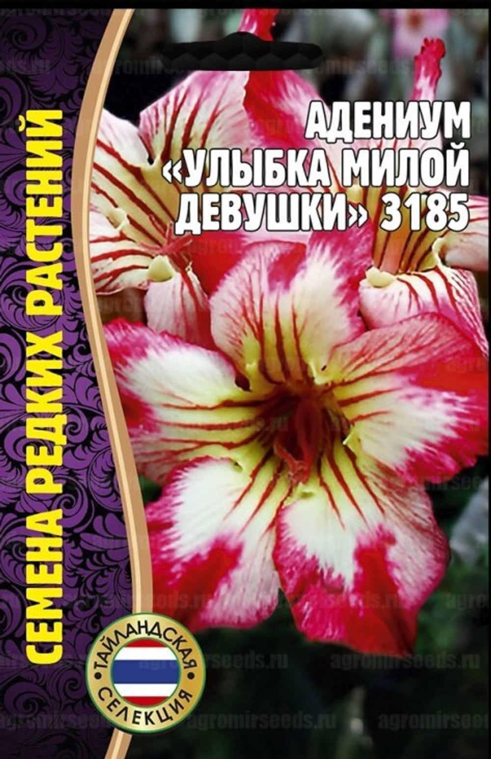 Адениум Улыбка милой девушки 3185