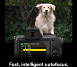 Беззеркальный фотоаппарат Nikon Z5 II Body