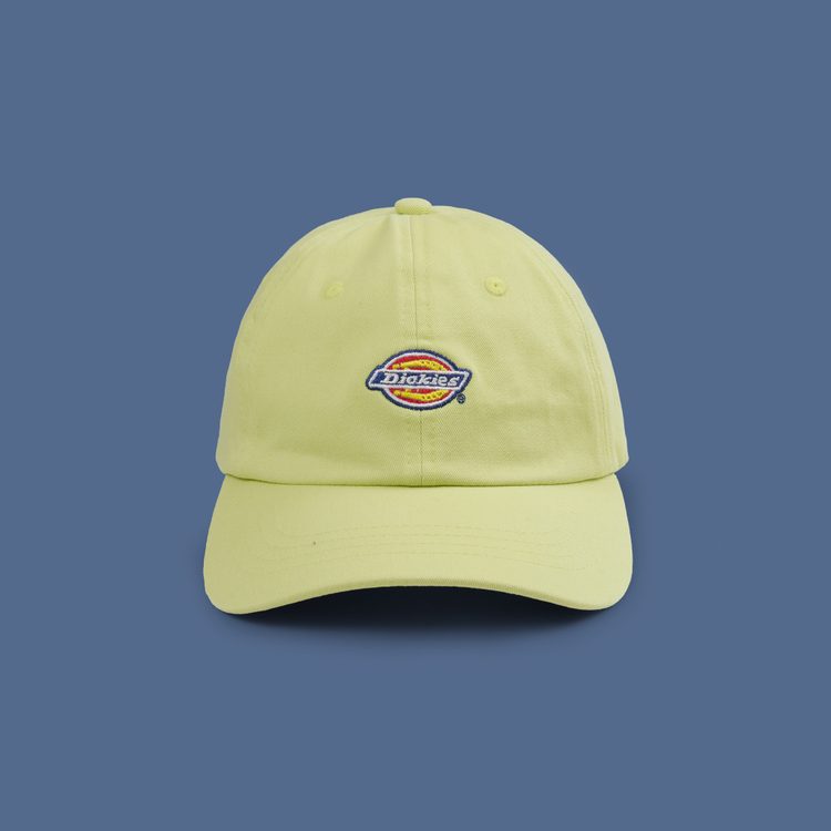 Кепка Dickies Hardwick 6 Panel Logo артикул:DK0A4TKVH141 - купить в магазине Дайс