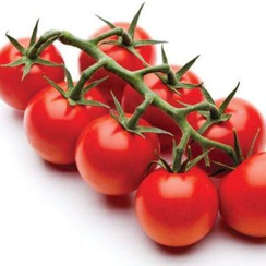 Киерано F1 семена томата индетерминантного (De Ruiter Seeds / Де Ройтер Сидс)