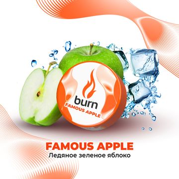 Burn (Famous Apple), 25 гр.