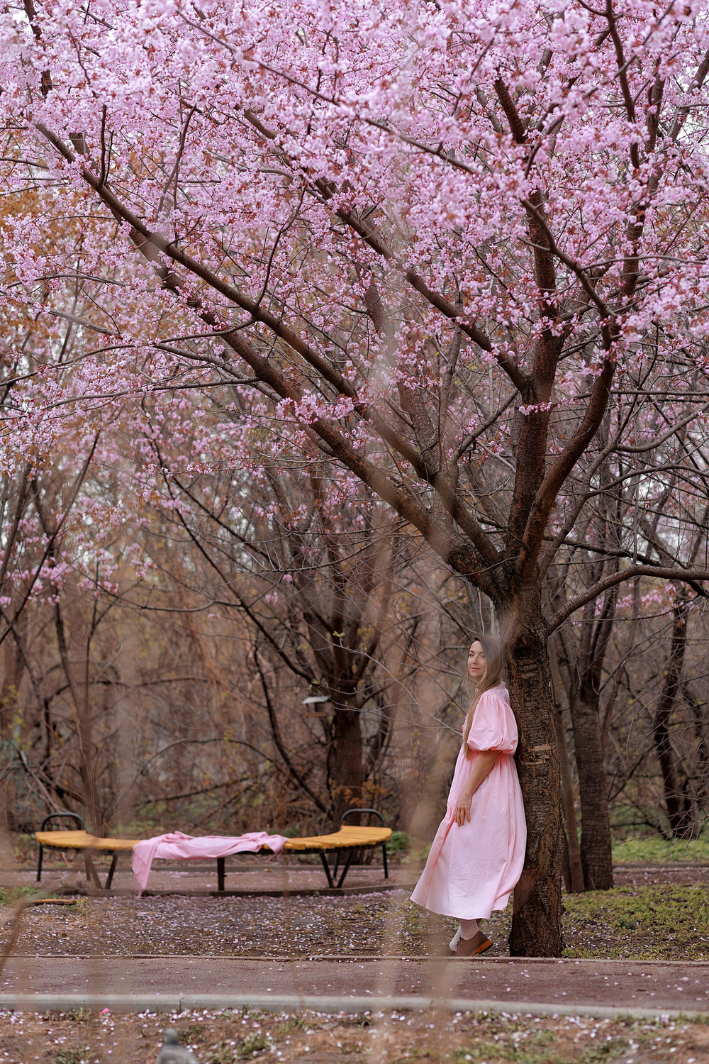 Платье с жабо и рукавами-фонариками, розовый хлопок