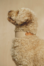 Ошейник "Пони-узелкони" Бежево-рыжий