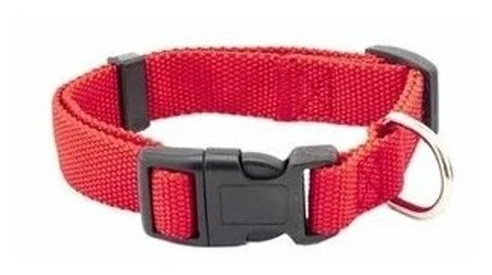 Ошейник капроновый для кошек и собак цветной красный плотный 20 мм обхват шеи 31-45 см.