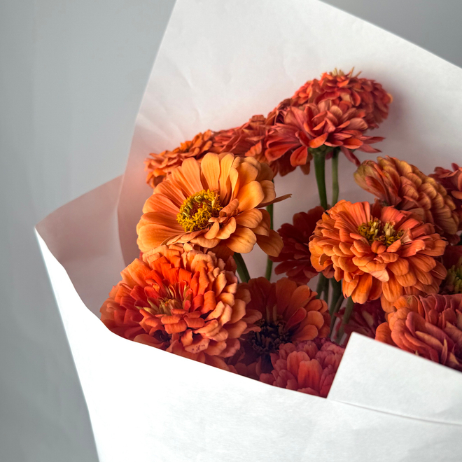 Монобукет Циний