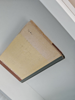 Иозеф Мысливечек (ЖЗЛ)