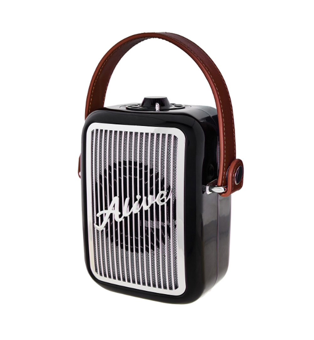 Беспроводная колонка Alive Audio Journey (Black)