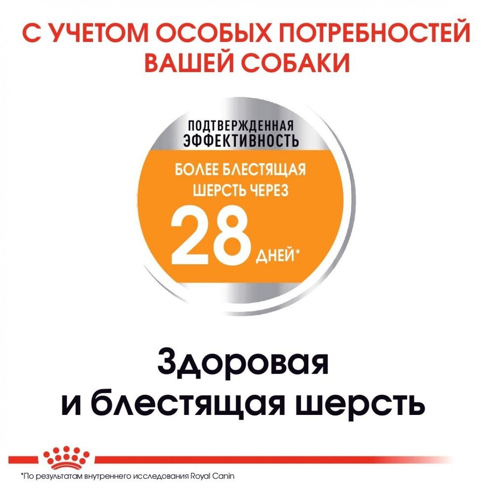 Сухой корм Royal Canin Mini Coat Care для взрослых и стареющих собак мелких размеров (весом от 1 до 10 кг) в возрасте 10 месяцев и старше, с тусклой и сухой шерстью