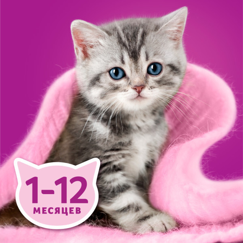 Корм влажный Рагу Ягненок для котят от 1 мес, 75г  Whiskas