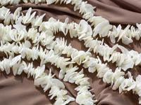 Нить бусин из ракушки (перламутра) 13-28мм, чипсы