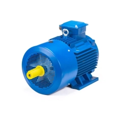 Электродвигатель 5АИ 180 S4 22/1500 IM1002