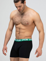 Хлопковые трусы-боксеры с двойным гульфиком (Размер: M) (Цвет: зеленый)