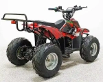 Электроквадроцикл Green Camel Гоби K70 (36V 800W R7 Дифференциал)