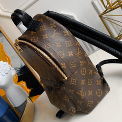 Louis Vuitton Palm Springs PM