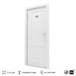 Номерок на дверь квартиры 293, для кабинета, офиса, шильдик 9 х 7 см, серебристый, Айдентика Технолоджи