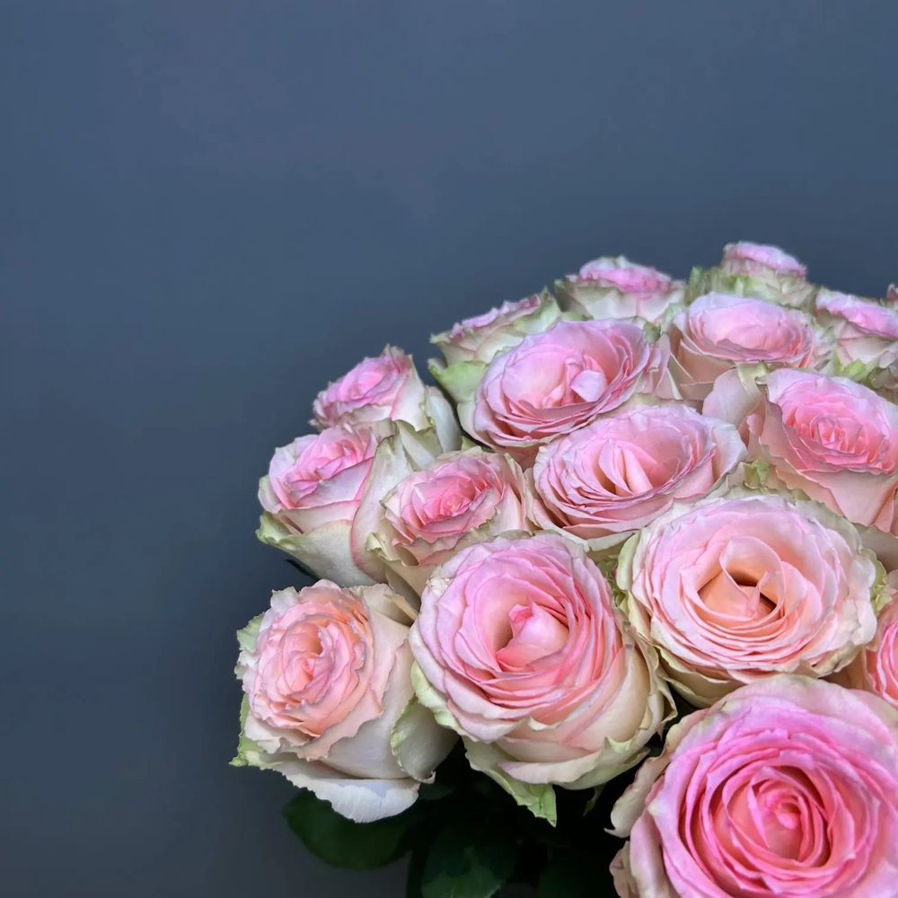 Букет 25 розовых роз (э)