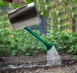 Лейка садовая, 10 л, оцинкованная Россия Сибртех