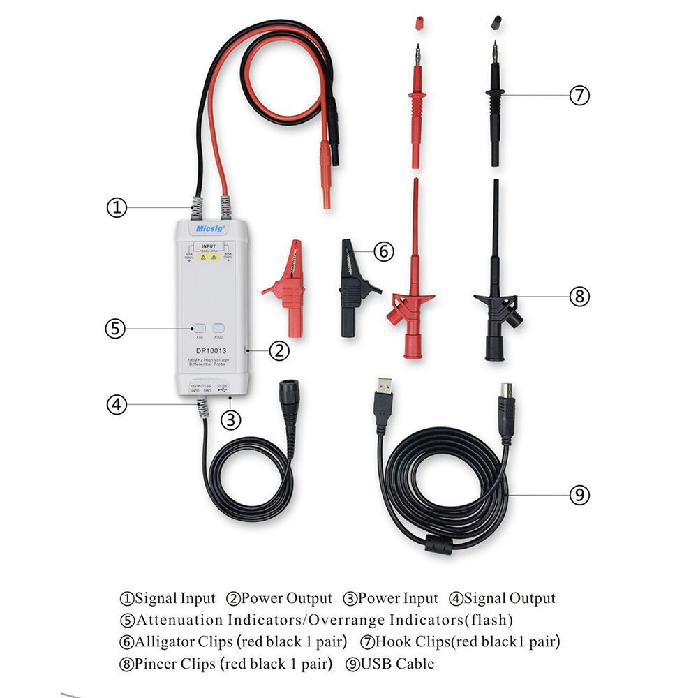 DP10013