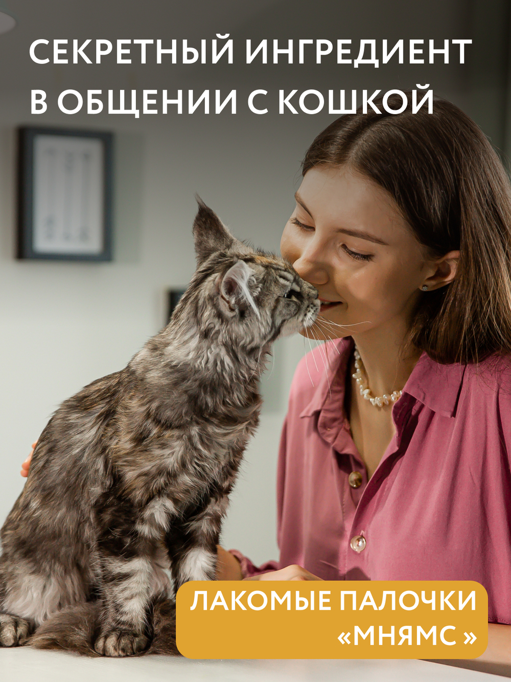 Лакомство Мнямс лакомые палочки для кошек из цыпленка и печени 3х5 г