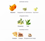 Osmanthus Nectar Gucci 100ml (duty free парфюмерия)