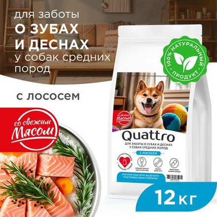 Корм сухой для взрослых собак средних пород, премиум полнорационный комплекс, забота о зубах и деснах, с лососем, 12 кг, QUATTRO